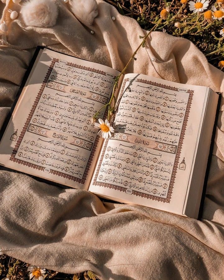 Dashboard Preview / Al Quran